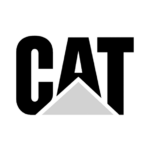 cat 2.png