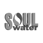 soul 1.png